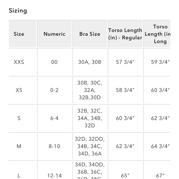 NWT American Eagle swimsuit size L - Picture 6 of 7